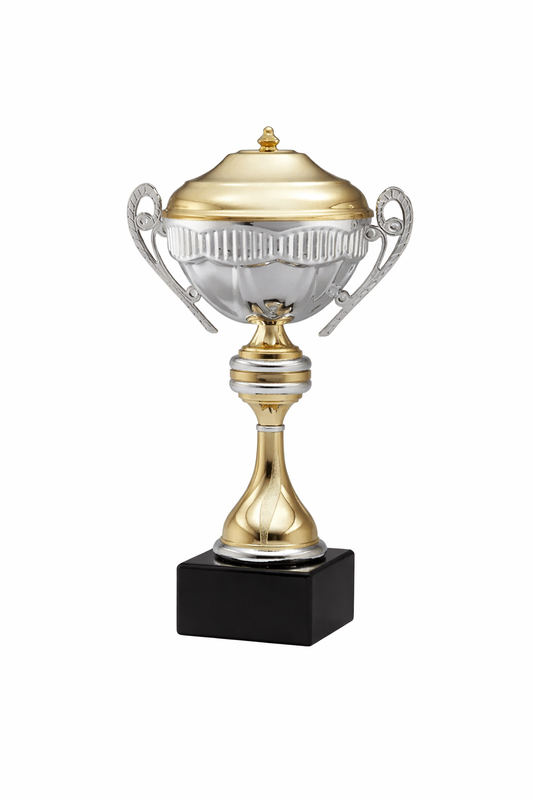 Gold & Silver Premium Tone Metal Trophy
