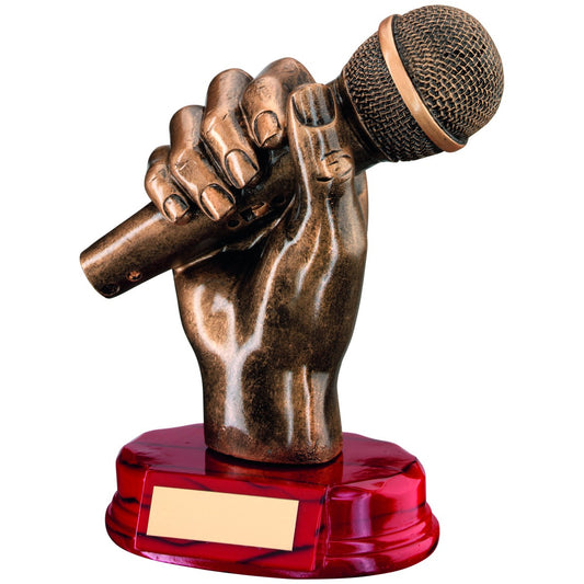 Bronze Microphone Award