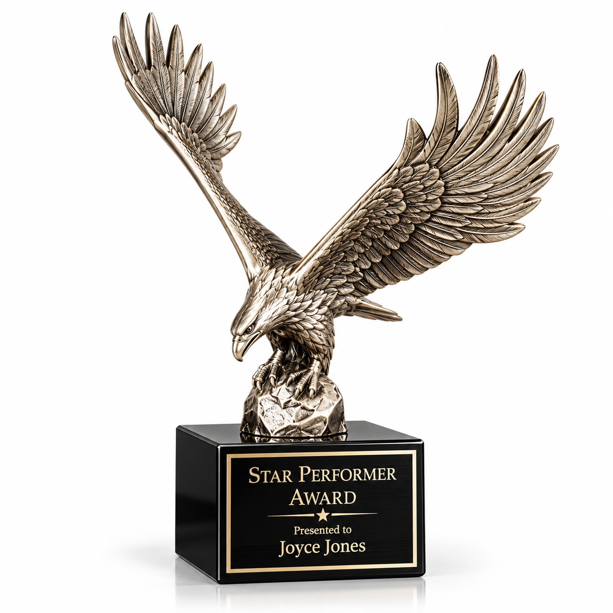 Freedom Flight | Election Day Service Award for Election Officials and Civic Leaders