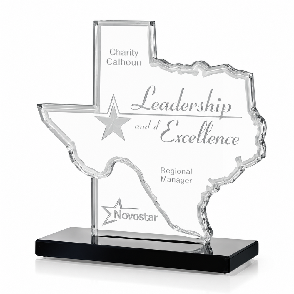 Lone Star Leadership | Election Day Recognition Award for Civic Leadership and Public Service
