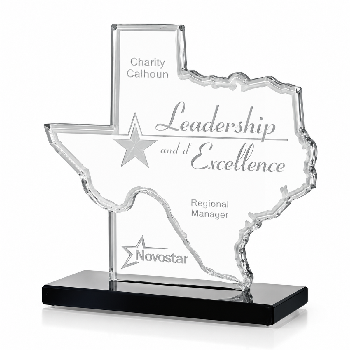 Lone Star Leadership | Election Day Recognition Award for Civic Leadership and Public Service