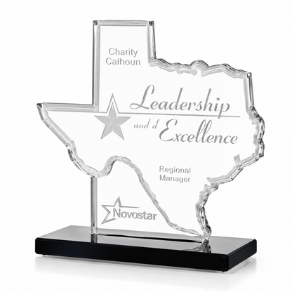 Lone Star Leadership | Election Day Recognition Award for Civic Leadership and Public Service