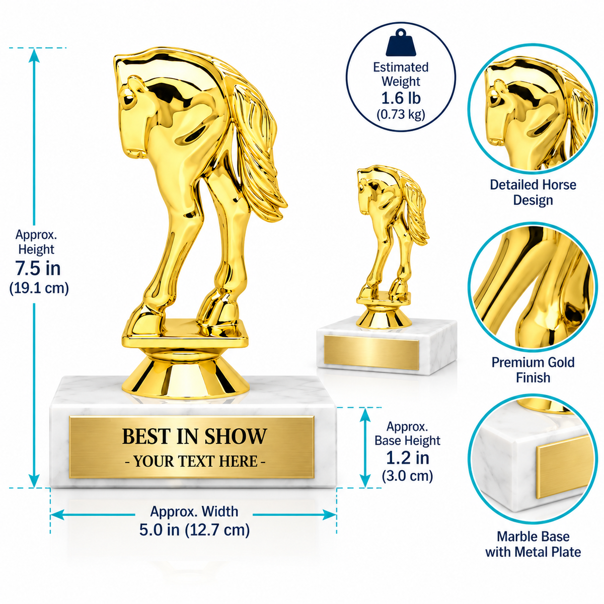 Rear-End Rookie | Personalized Novelty Award for Friendly Competition