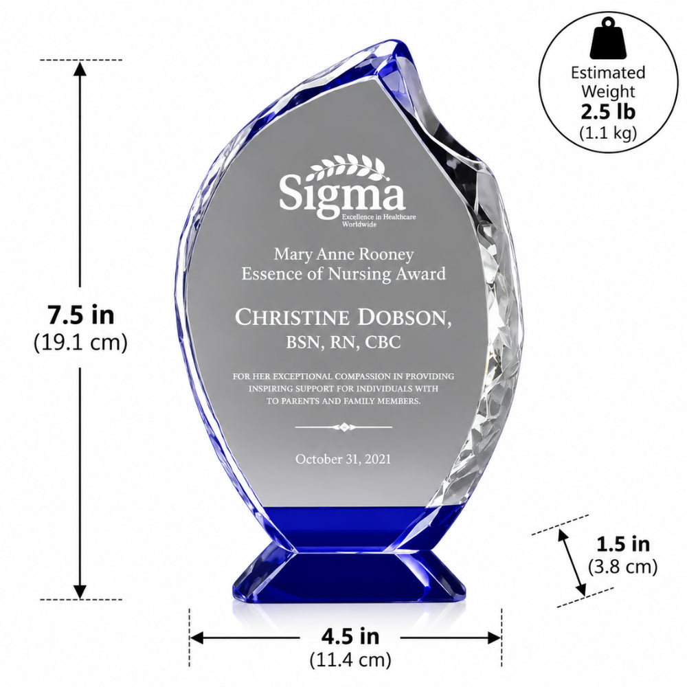 Radiant Crystal | Nursing Award for clinical excellence