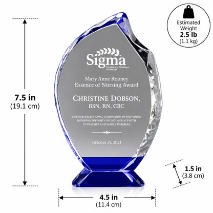 Radiant Crystal | Nursing Award for clinical excellence