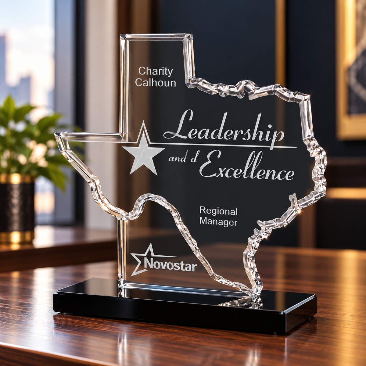 Lone Star Leadership | Election Day Recognition Award for Civic Leadership and Public Service