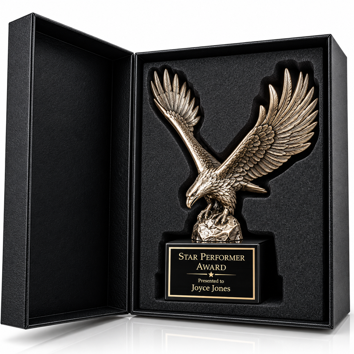 Freedom Flight | Election Day Service Award for Election Officials and Civic Leaders