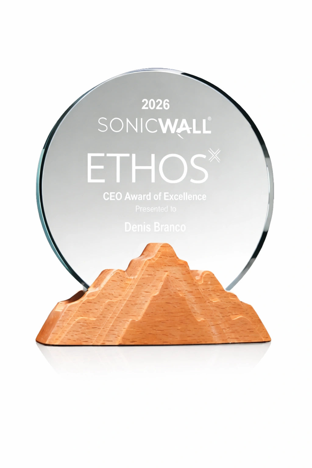 Performance Peak Trophy