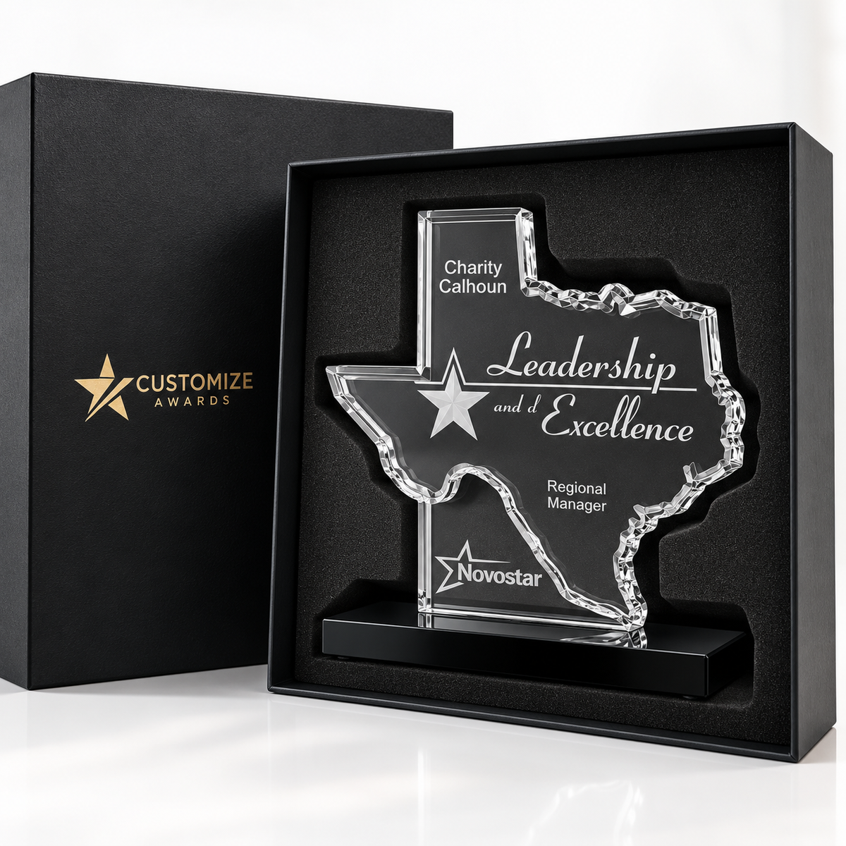 Lone Star Leadership | Election Day Recognition Award for Civic Leadership and Public Service