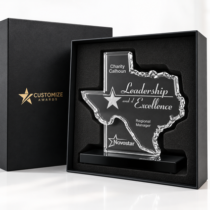 Lone Star Leadership | Election Day Recognition Award for Civic Leadership and Public Service