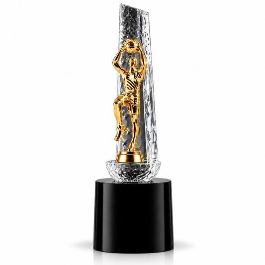 Hoop Champion | Custom Basketball Trophy Award