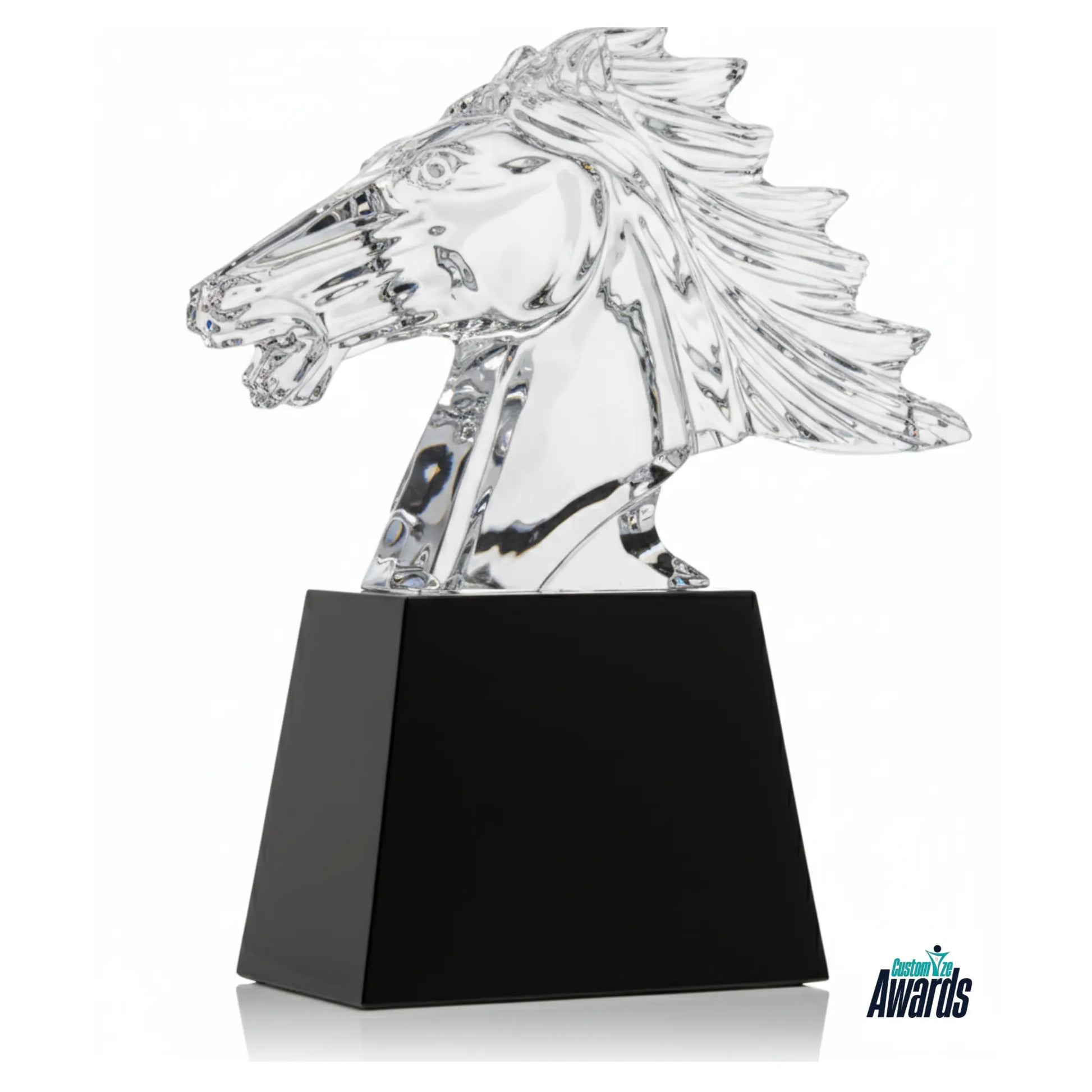 Soaring Horse Achievement