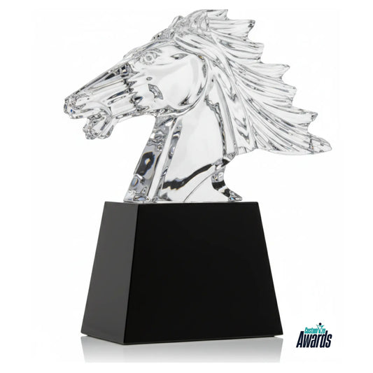 Soaring Horse Achievement