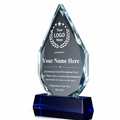 Healthcare Awards 