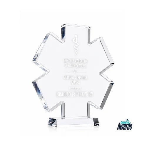 Guardian White Star | Nursing Excellence Crystal Award