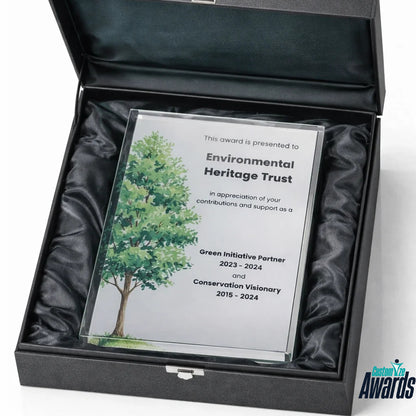 Lucent Depth | Obelisk-Anerkennungspreis Plakette