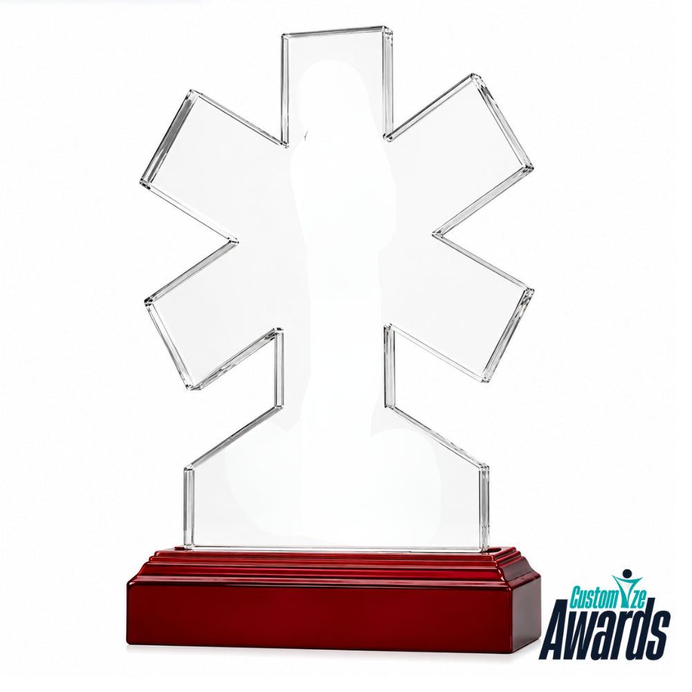 Valor Star  EMS Provider Recognition Award  withut engraving 