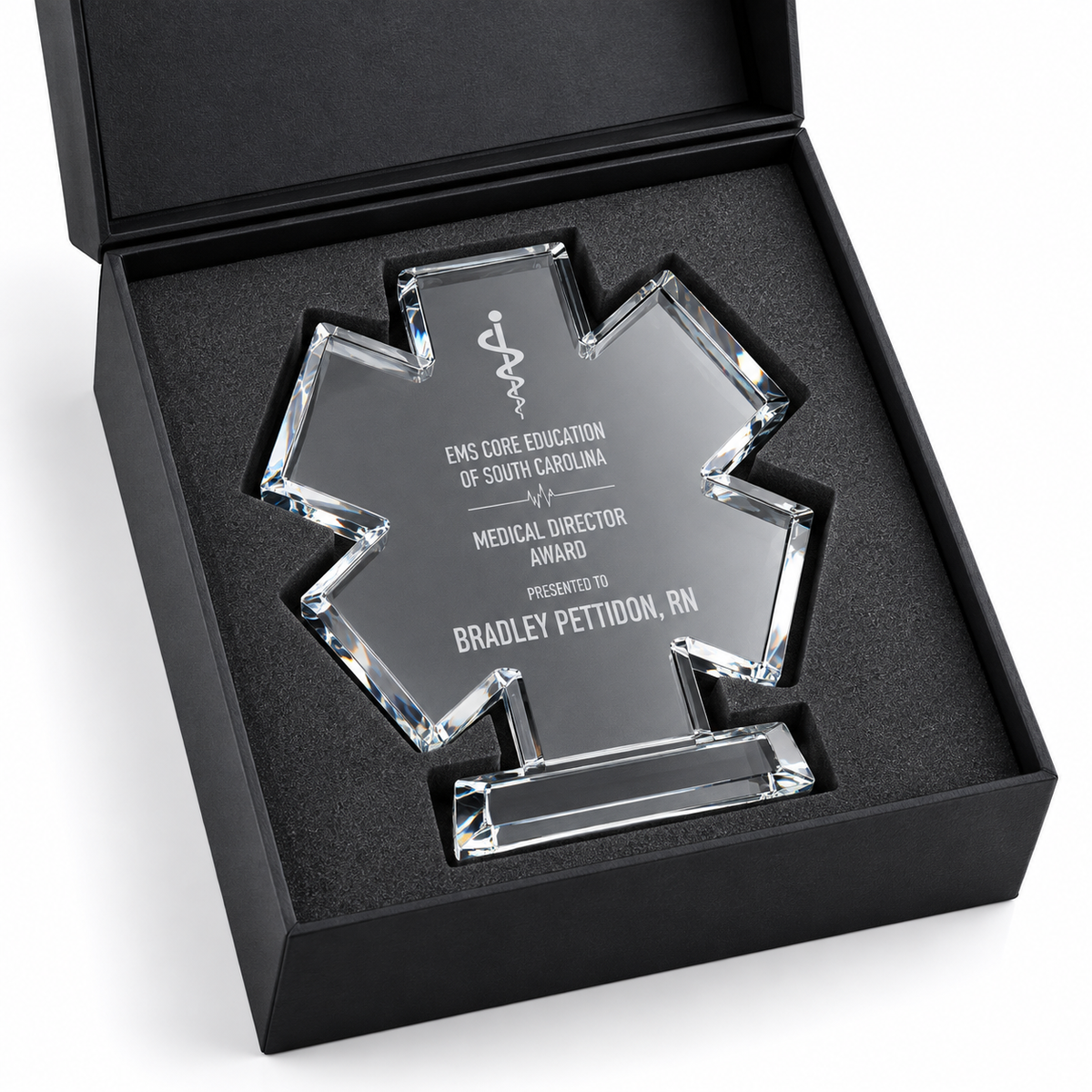 Guardian White Star | Nursing Excellence Crystal Award