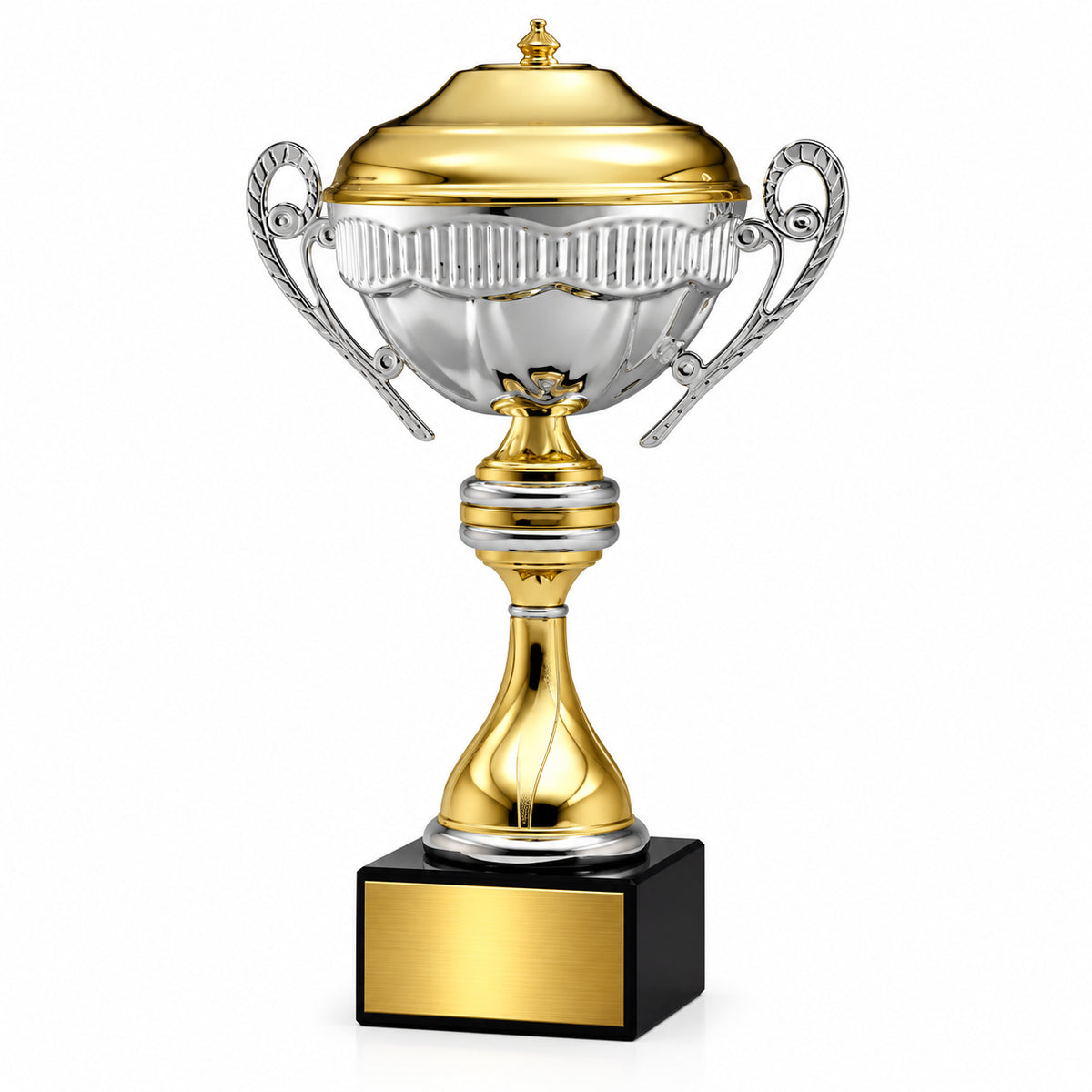 Gold & Silver | Premium Achievement Metal Trophy